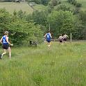 BMWR 2011 162